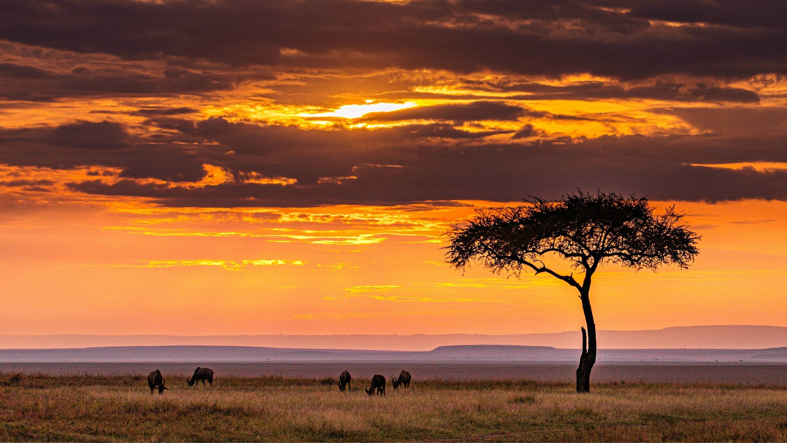 African trade corridor landscape at dusk